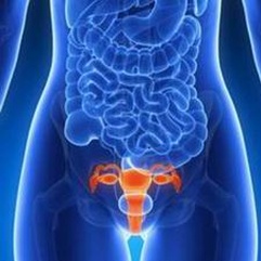 2025年拉拉去岳阳市妇幼做试管的成功率有多少？拉拉试管成功